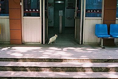 多人休闲游戏《风滚草使命》4月1日上线 不支持中文